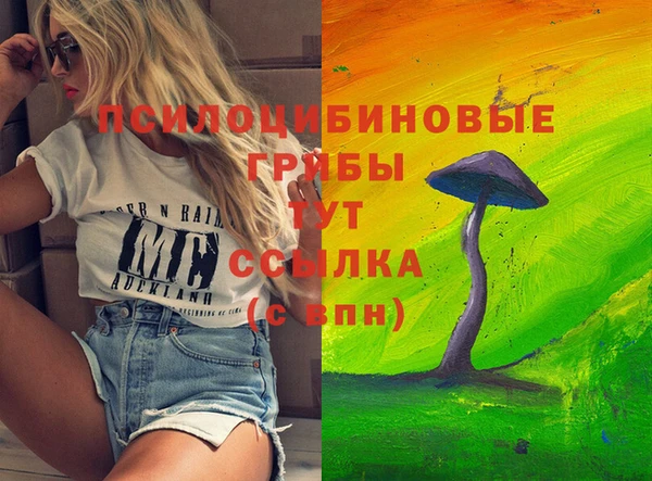 спайс Беломорск
