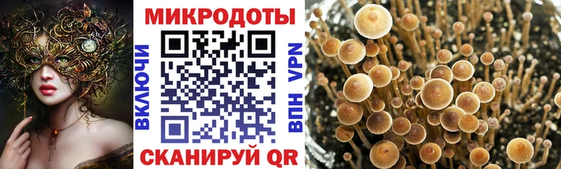 Галлюциногенные грибы Cubensis Сердобск